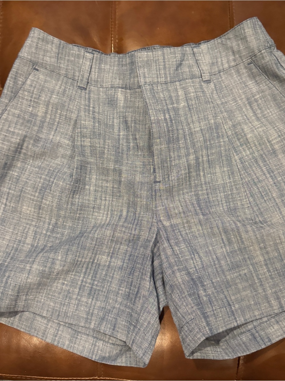 LOFT Women's Light Blue Pleated Front Shorts